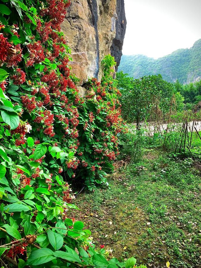Trang An Valley Bungalow Ninh Binh Luaran gambar